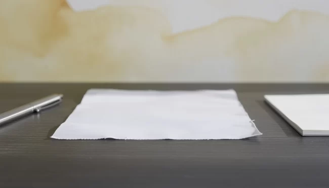 Fiche de paie électronique